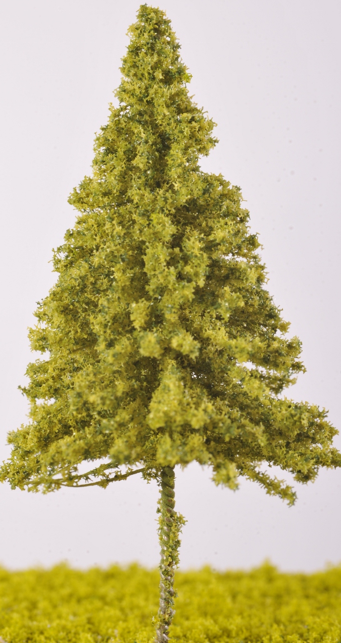SW21 - Pine Trees