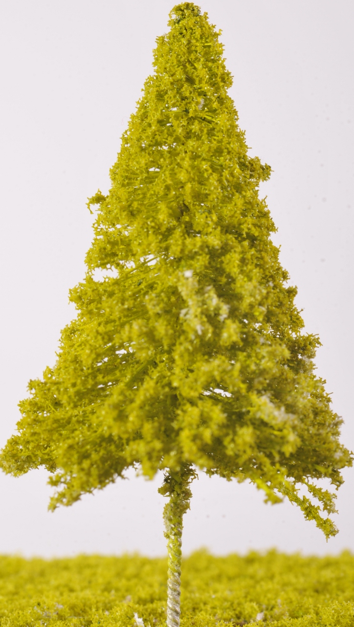 SW21 - Pine Trees