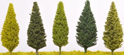 SW22 - Poplar Trees