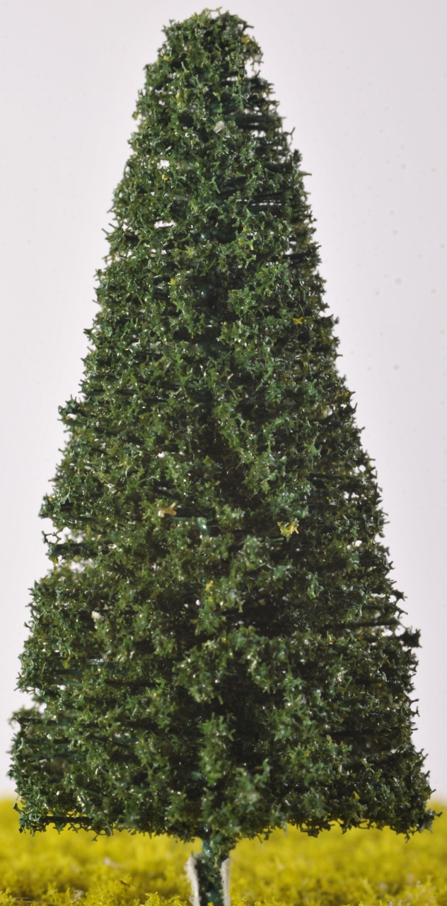 SW23 - Spruce Trees