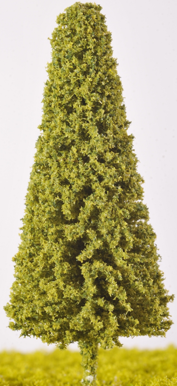 SW23 - Spruce Trees