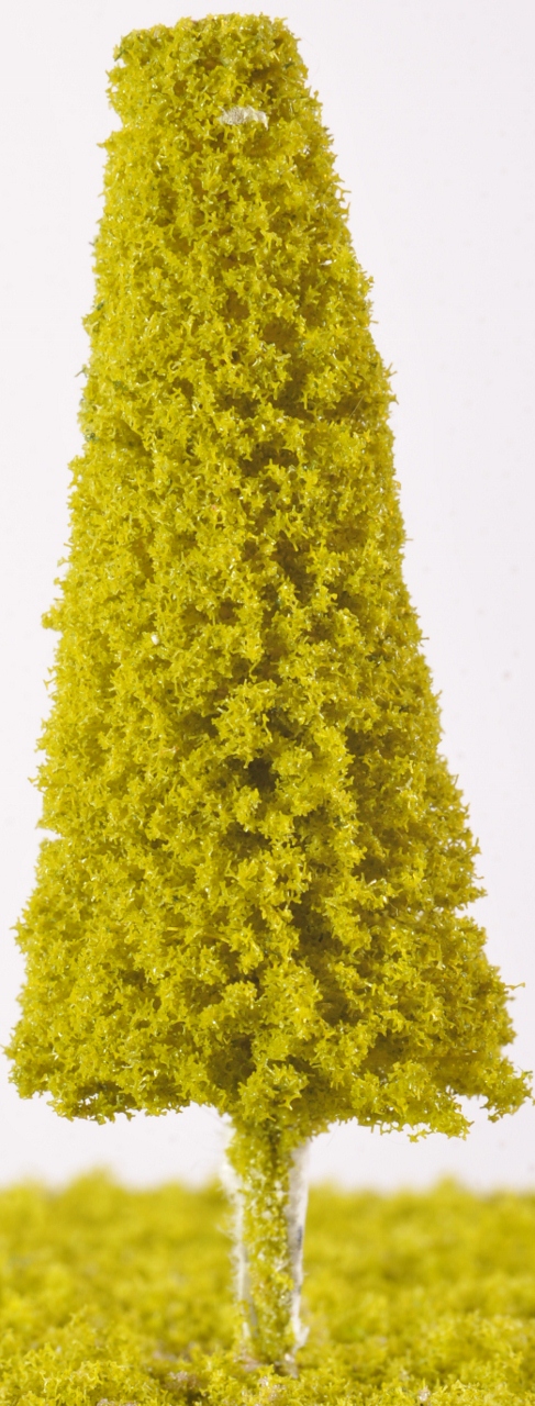 SW23 - Spruce Trees