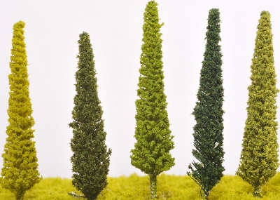 SW24 - Cypress Trees