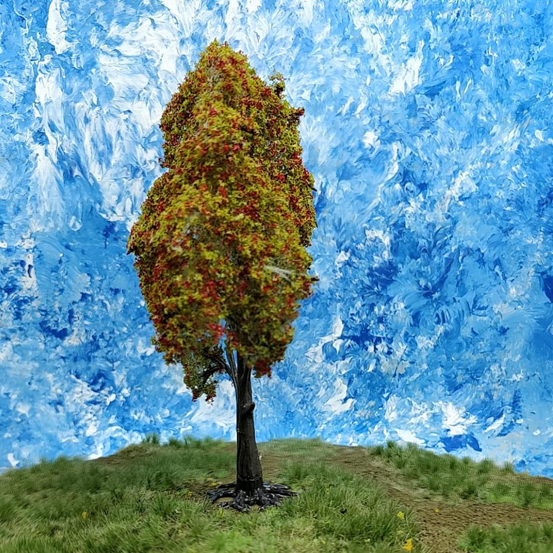 PL22104 - 130mm Flowering Rowan Tree