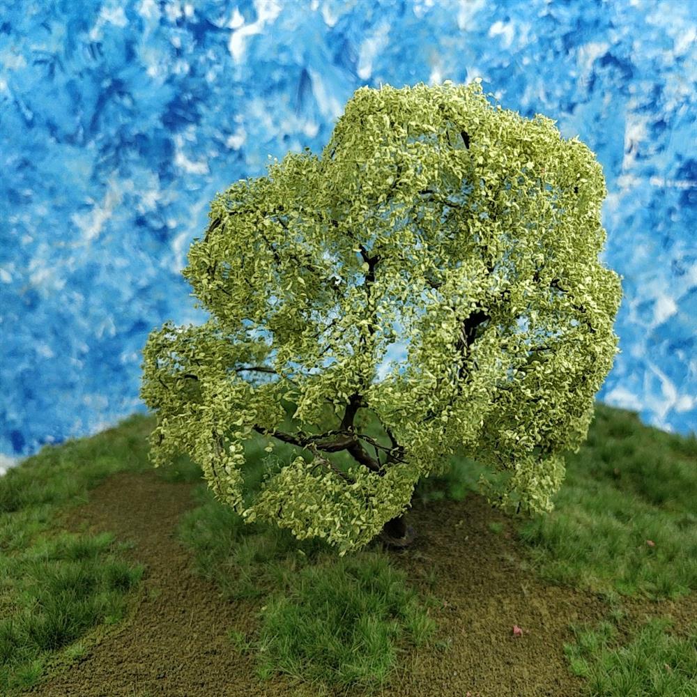 Japanese Oak