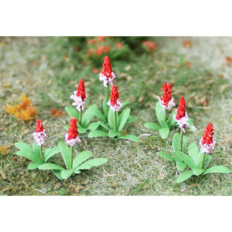 Primula - OO/HO Scale - 00679