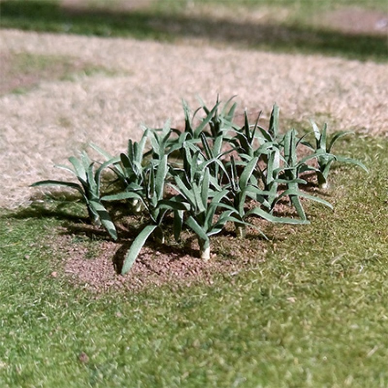 Leeks - N Gauge - 01006