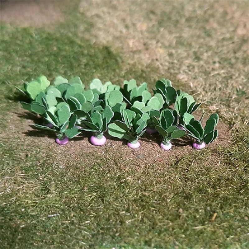 Turnips - N Gauge - 01005