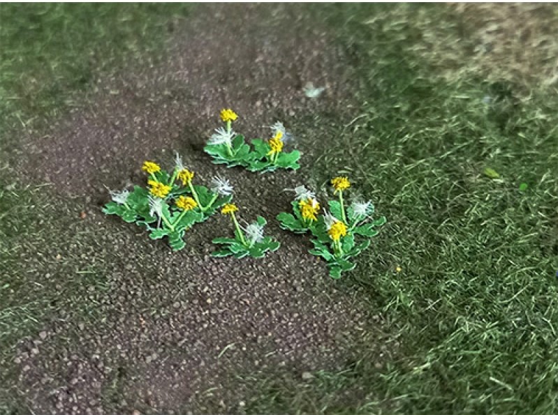 Dandelions - N Gauge - 01035