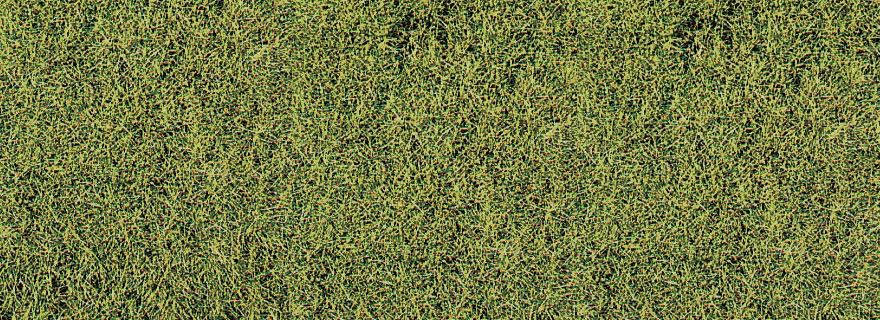 HEKI 1574 Realistic Wild Grass
