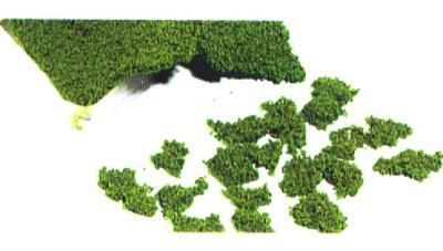 HEKI 1581 Compact Foliage