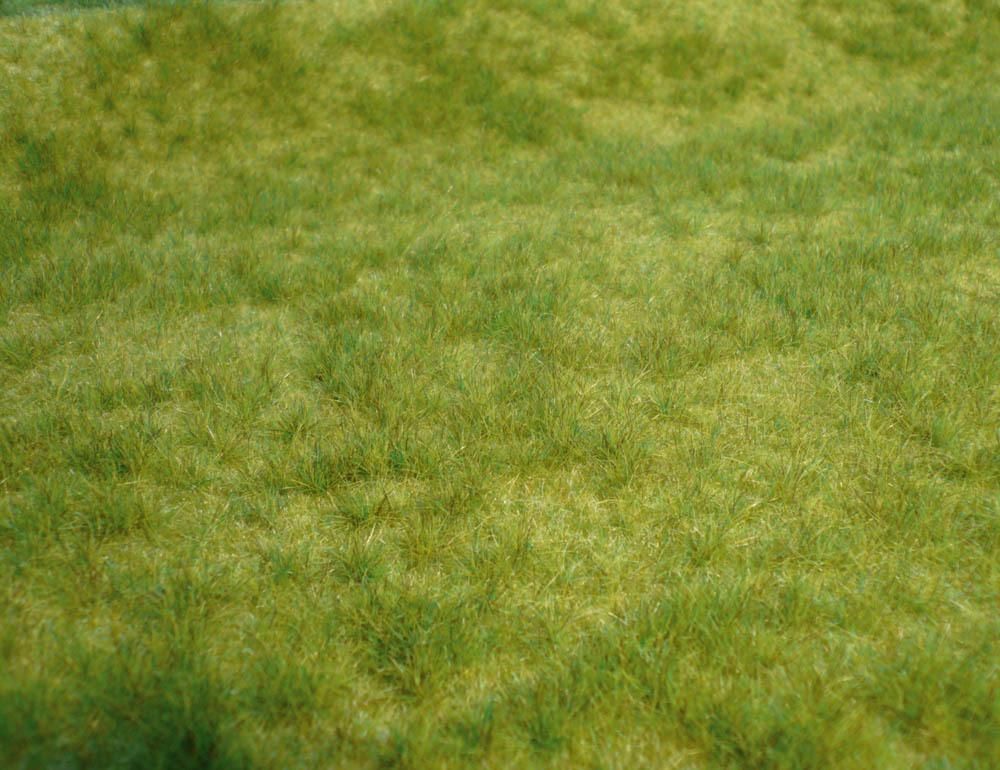 HEKI 1841 Realistic Wild Grass