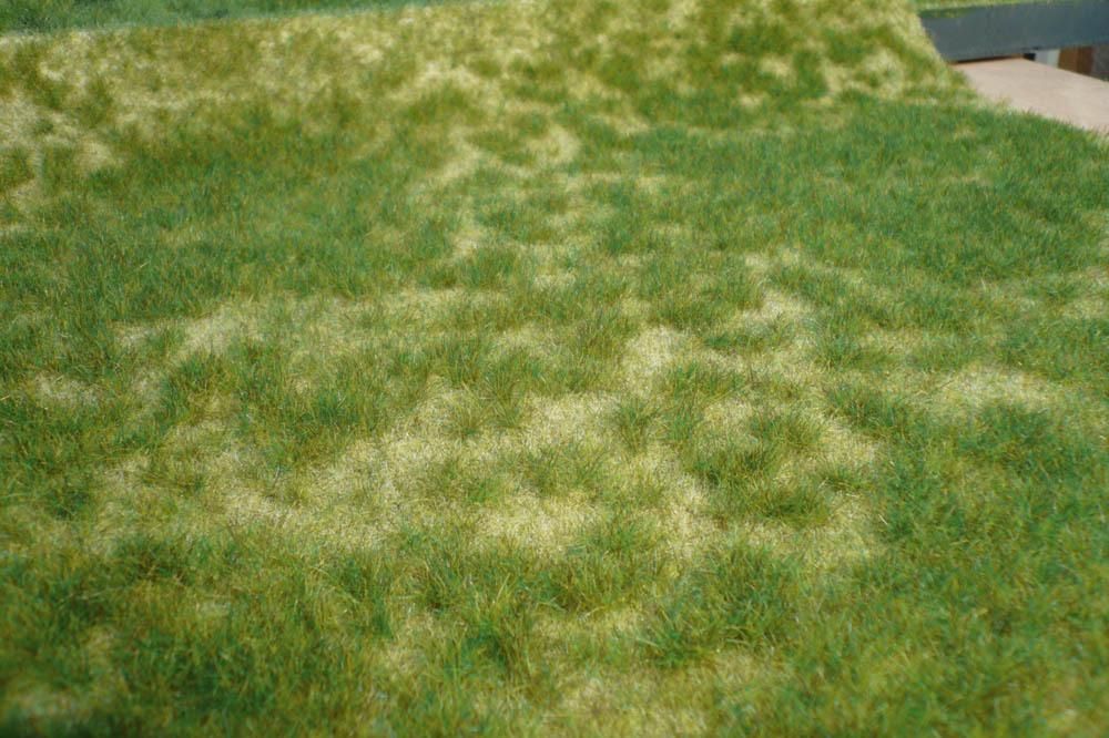 HEKI 1842 Realistic Wild Grass