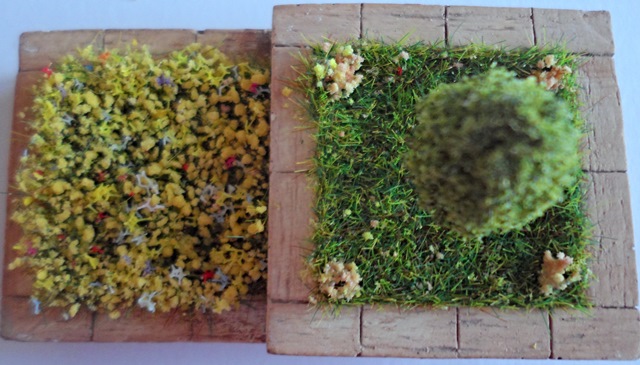 Plants, Flowers & Shrubs